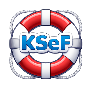 KSEF Pomocnik Premium - 6 msc